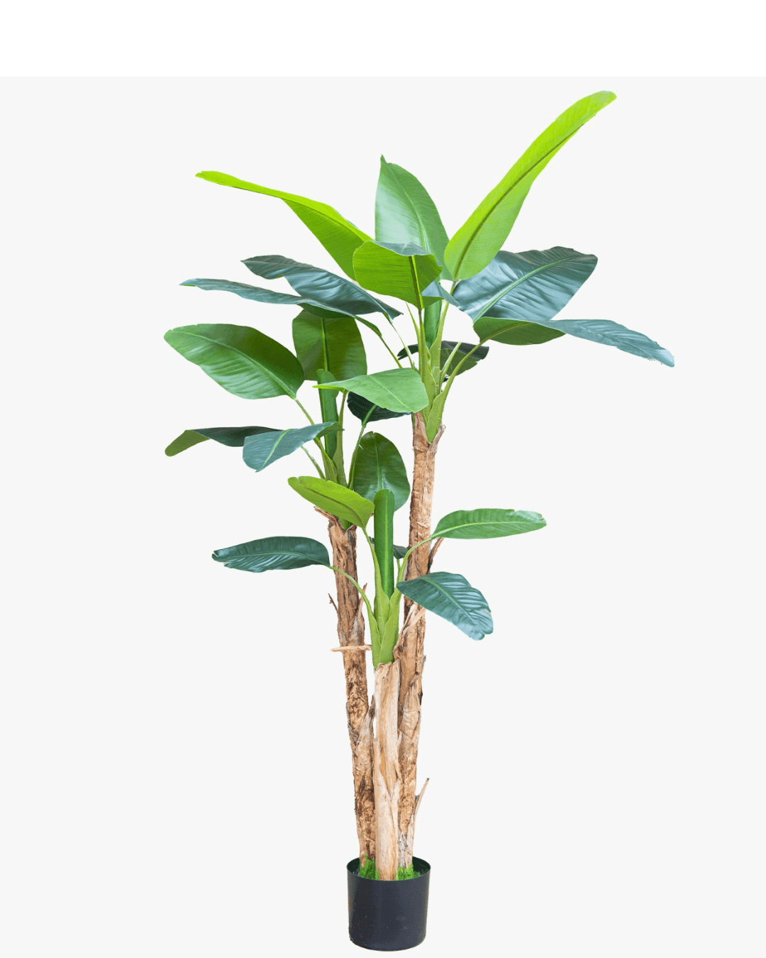 Bimë artificiale banane 250 cm