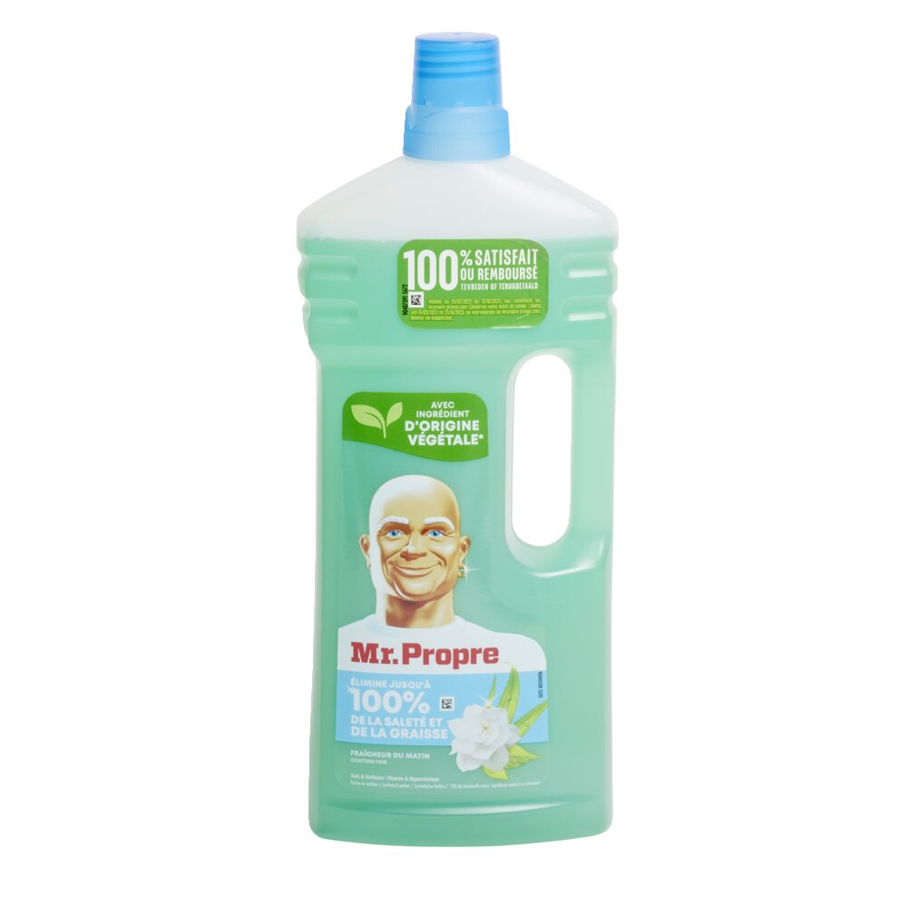 PASTRUES ME SHUM FUKSNIONE MR PROPER 1.3L