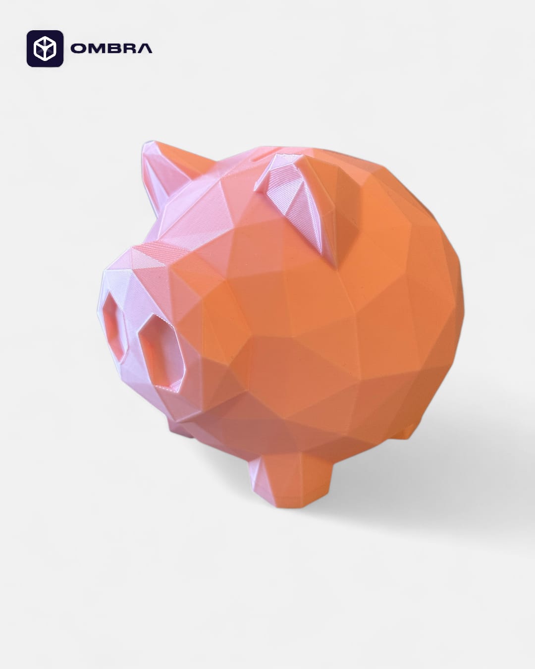 Kacë Kursimesh “Piggy Bank”