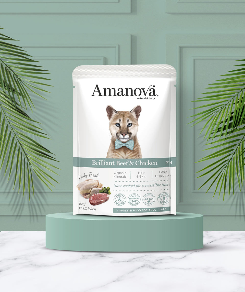 Ushqim i lëngëshëm për mace, Amanova Briliant Beef & Chicken, 85 gr.