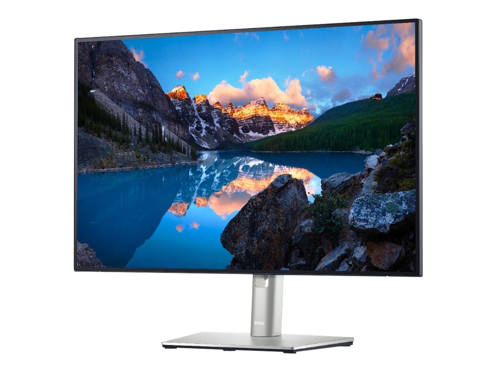 DELL 24.1" FHD U2421E 75Hz IPS USB-C, Monitor