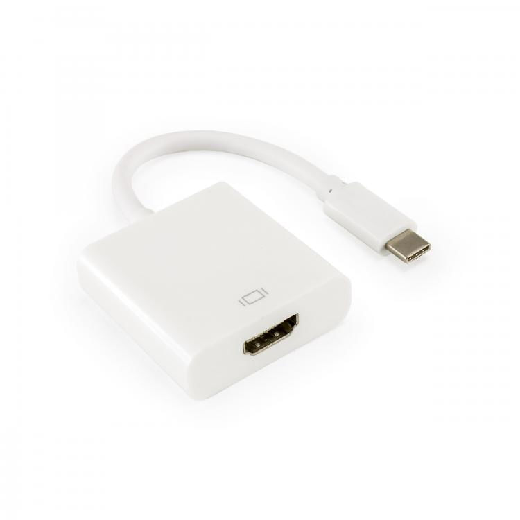 ADAPTER SBOX HDMI-F NE TYPE C-M