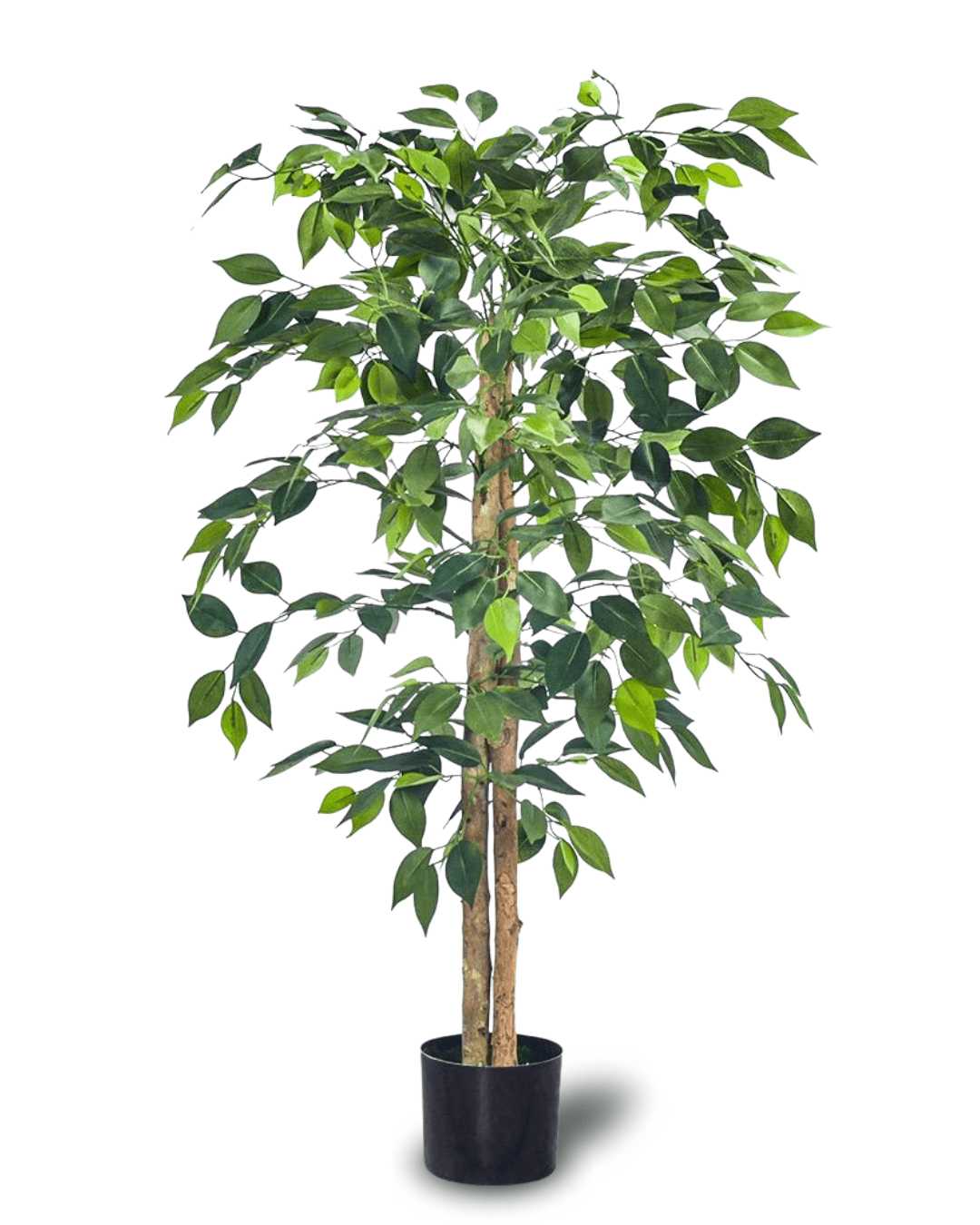 Bimë artificiale Ficus Tree