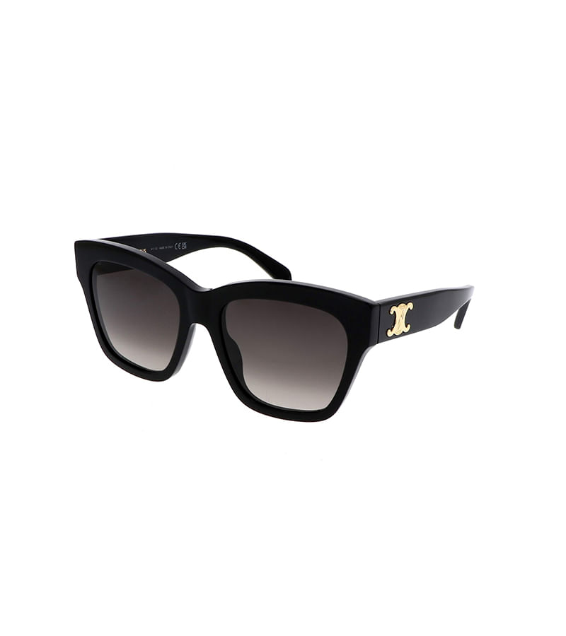CELINE SYZE CL40253I 5501F
